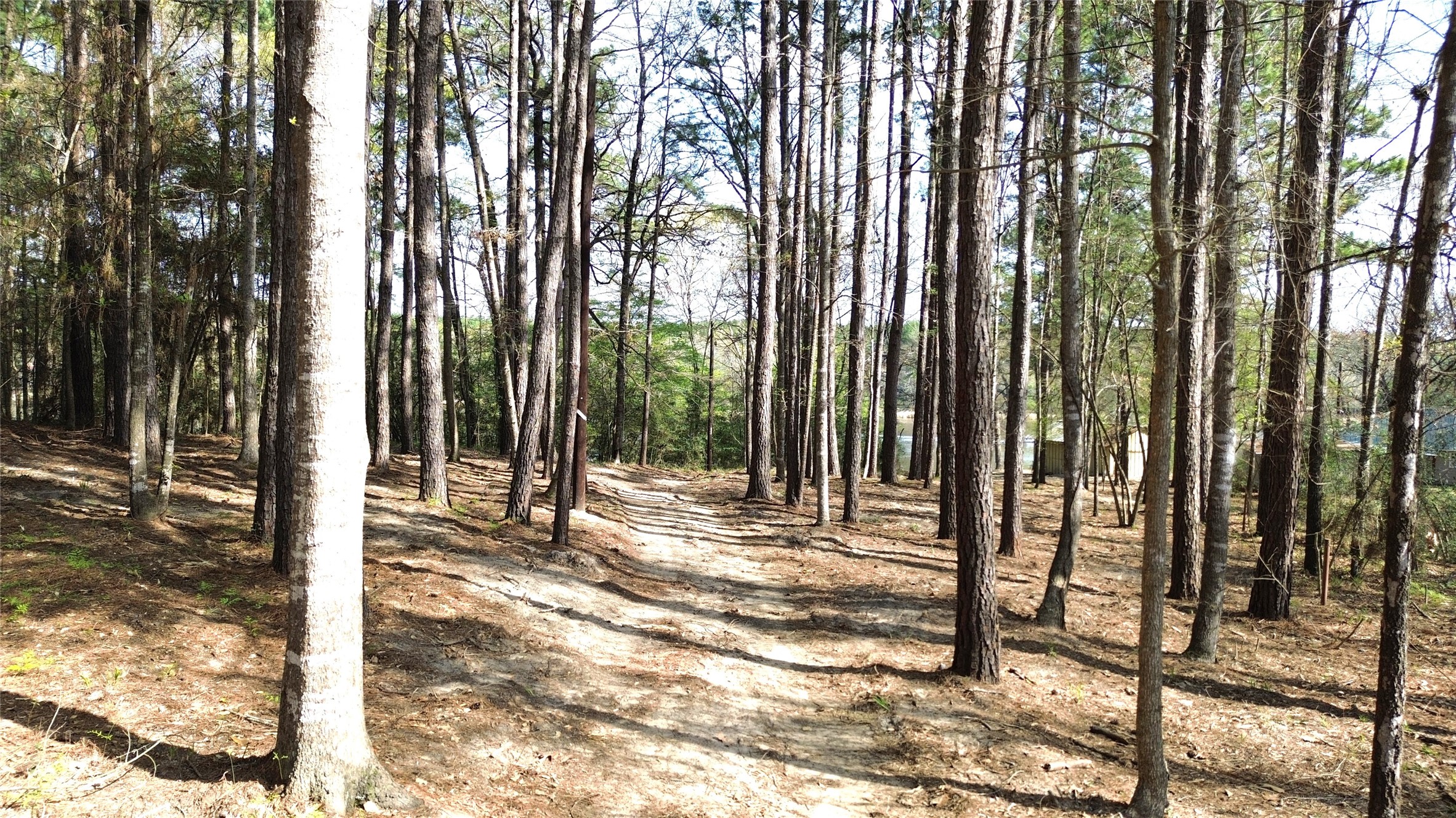951 Pr 6050 Property Photo 7