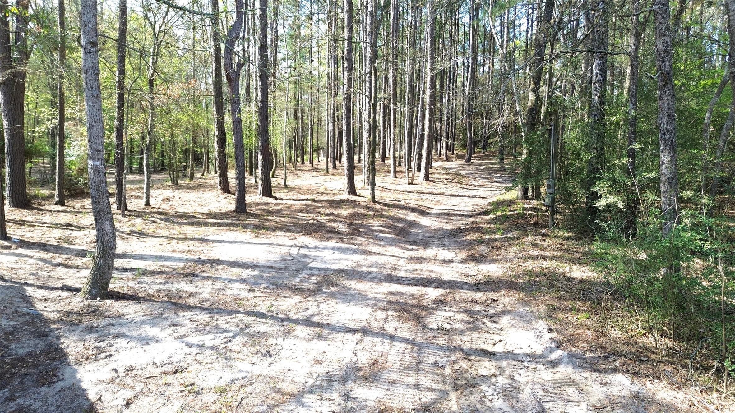 951 Pr 6050 Property Photo 13
