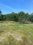 1201 Columbus Street Property Photo 4