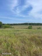 1201 Columbus Street Property Photo 5