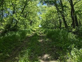 40.2 Ac Mineral Point Road Property Photo