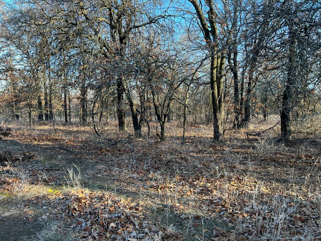 0000 Cr 2561 G N/a Property Photo 16