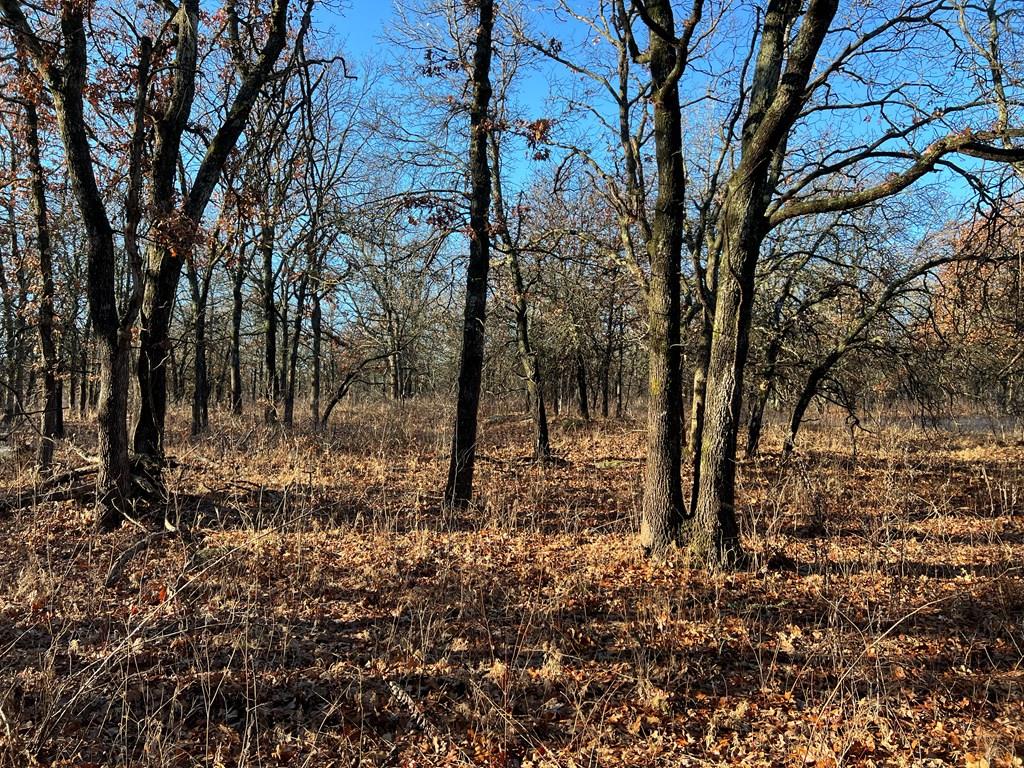 0000 Cr 2561 G N/a Property Photo 28