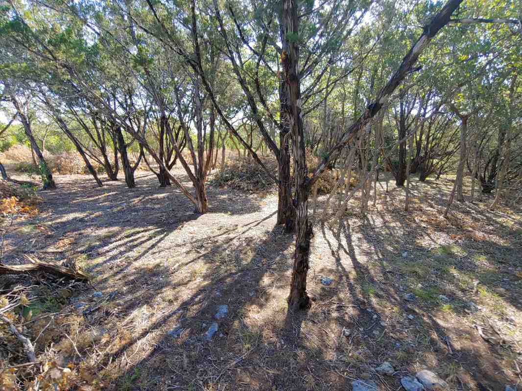 0 Cr 250 Road Property Photo 2