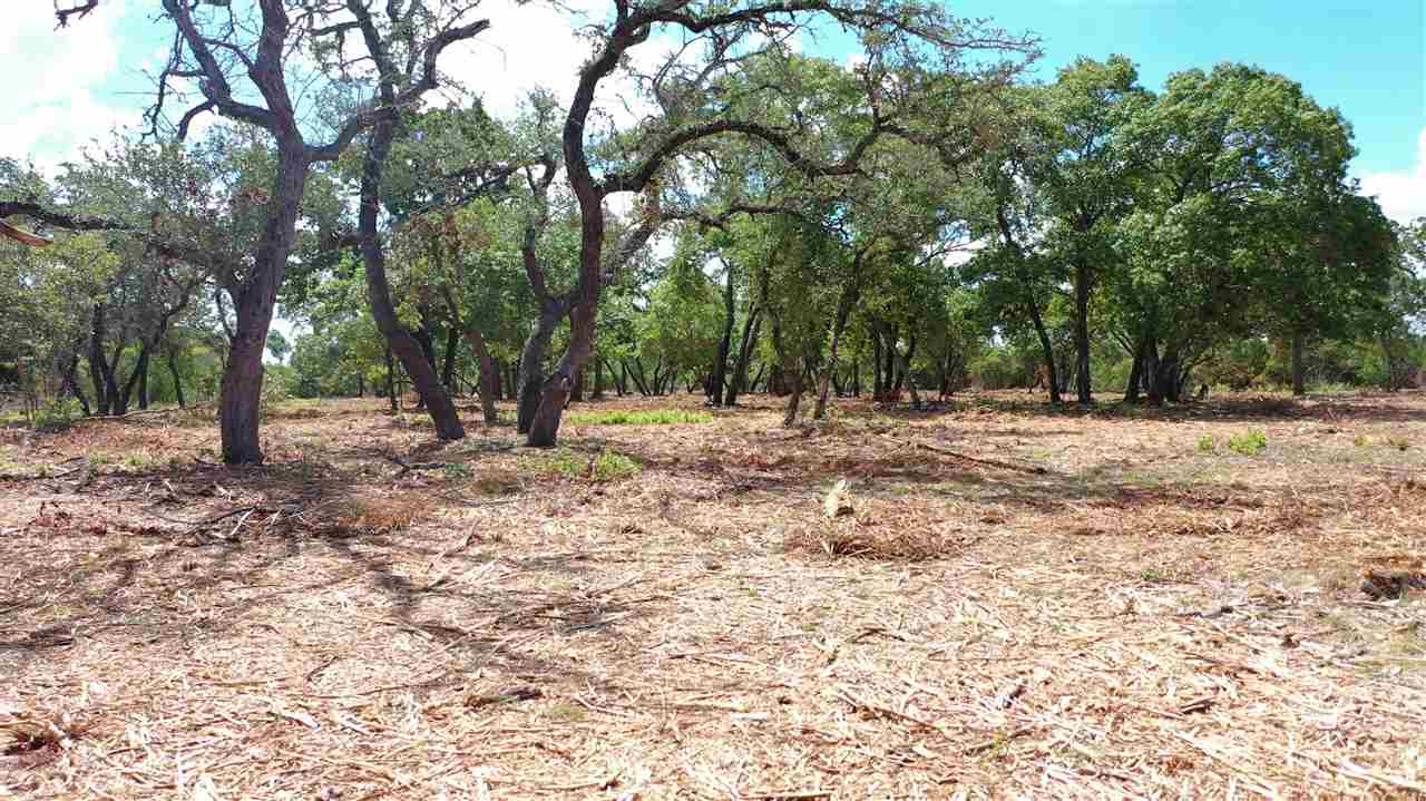 0 Cr 250 Road Property Photo 4