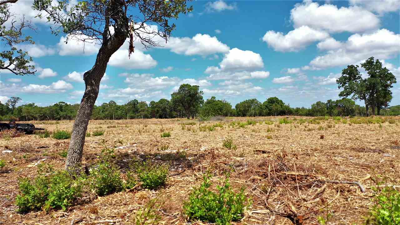 0 Cr 250 Road Property Photo 9