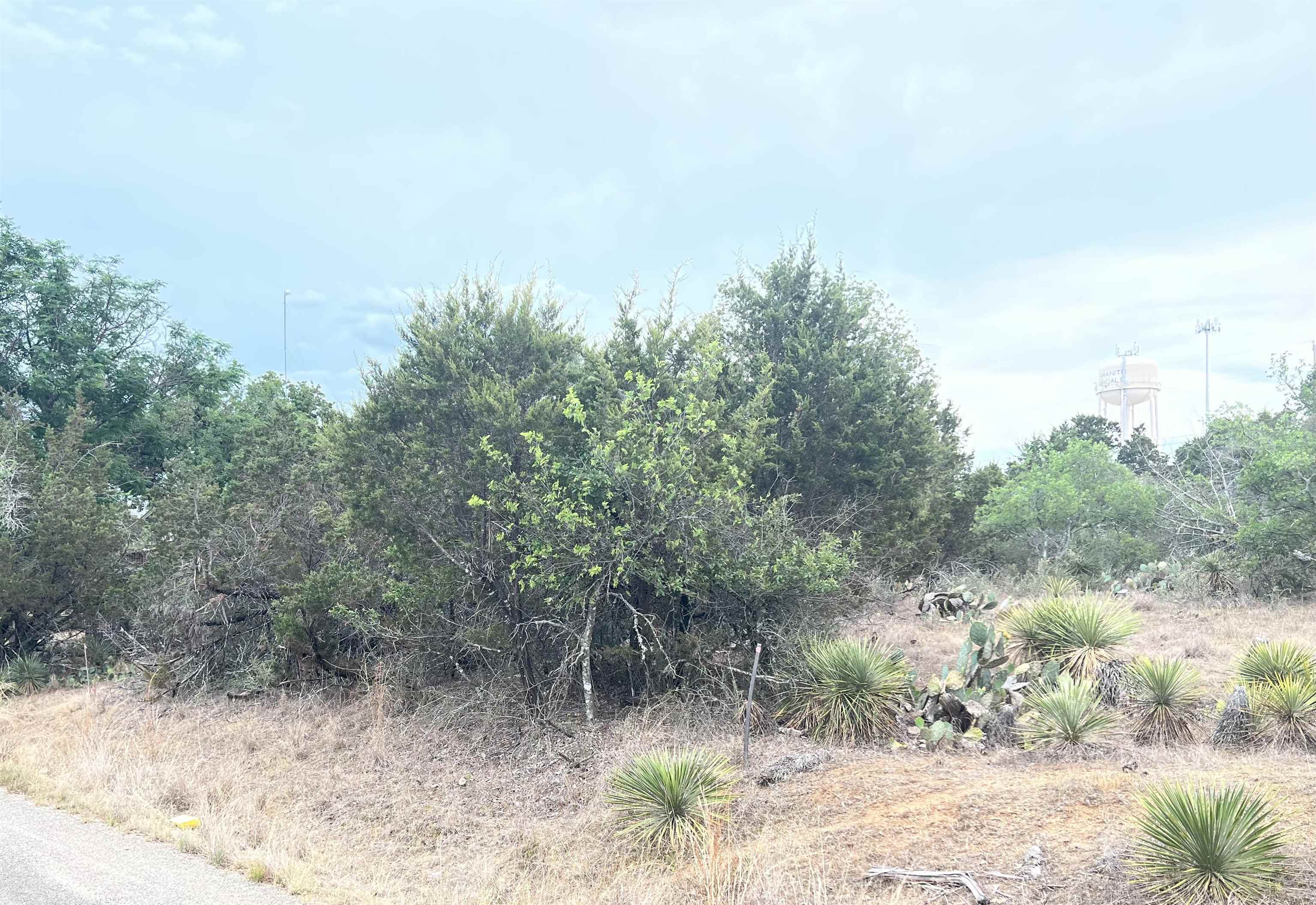 Lot 283 & 284 W Briarway Drive Property Photo 2