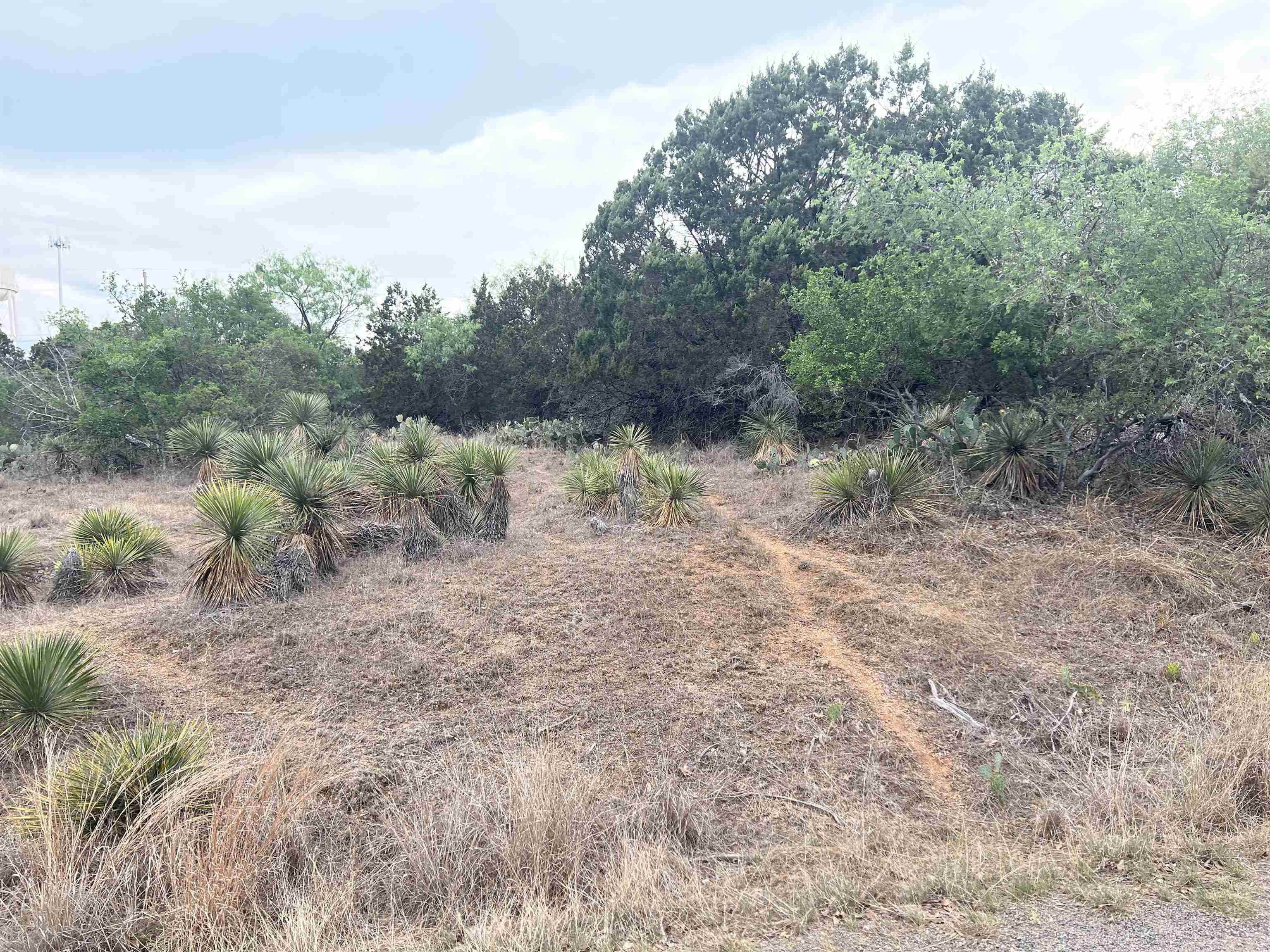 Lot 283 & 284 W Briarway Drive Property Photo 4