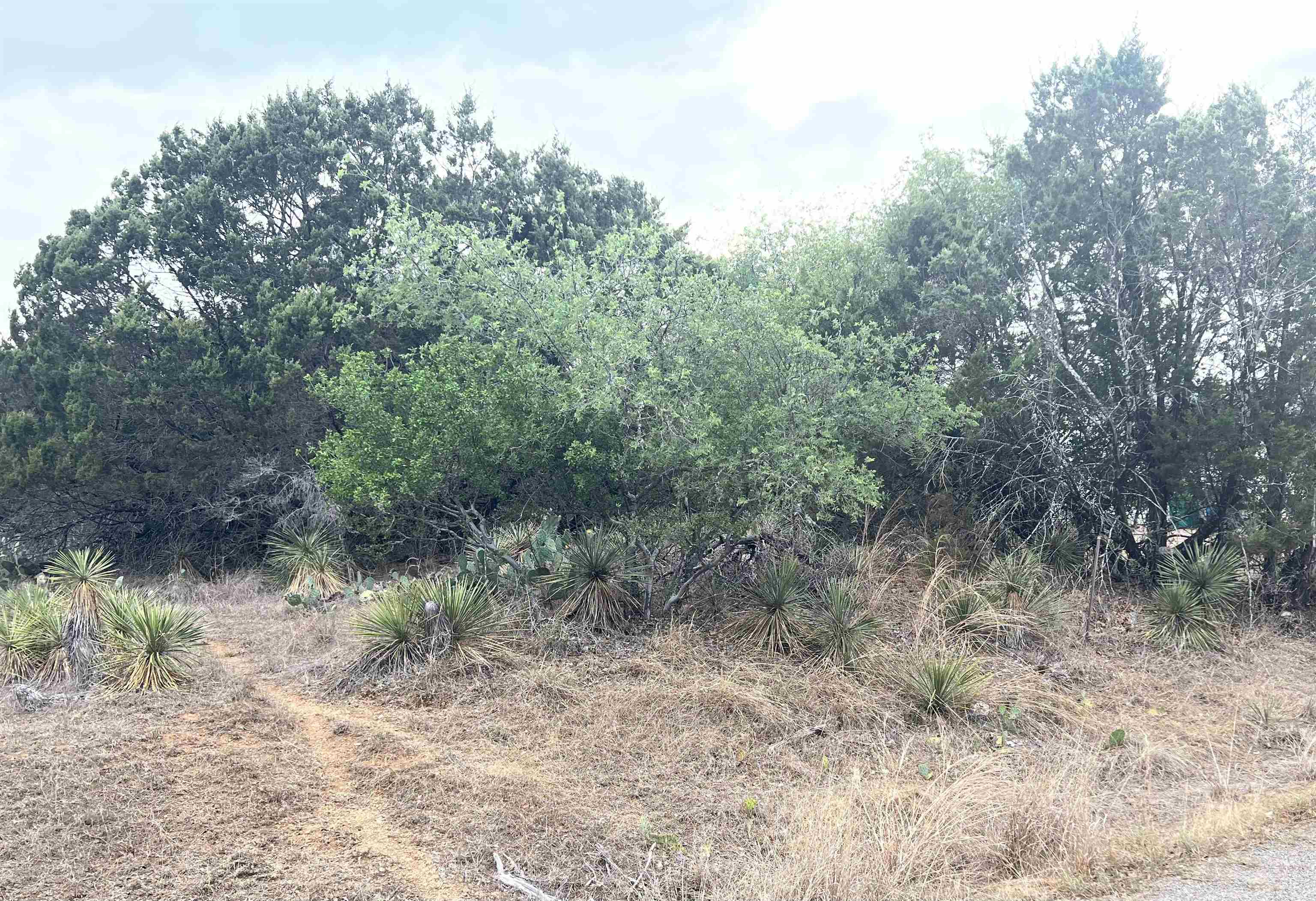 Lot 283 & 284 W Briarway Drive Property Photo 5