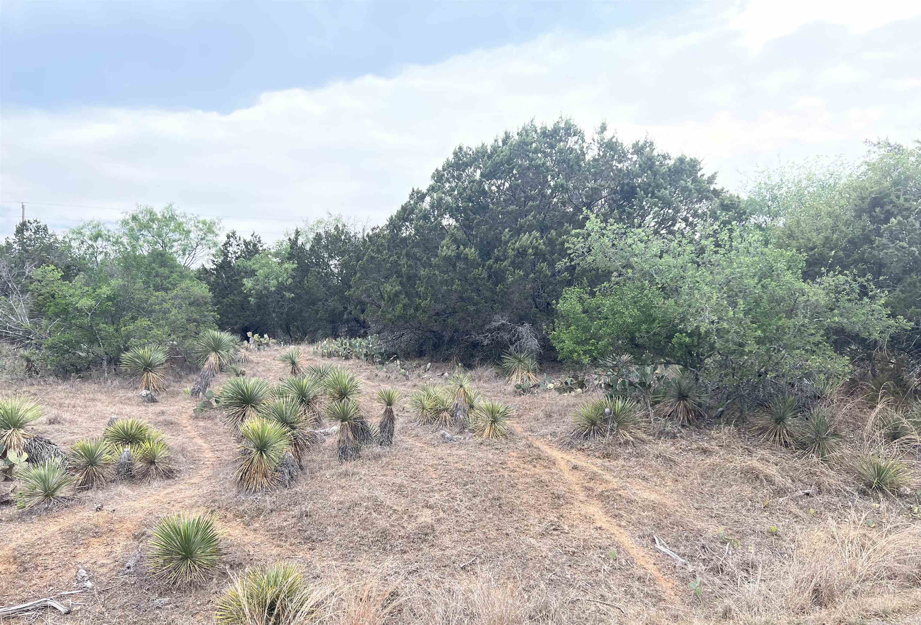 Lot 283 & 284 W Briarway Drive Property Photo 6