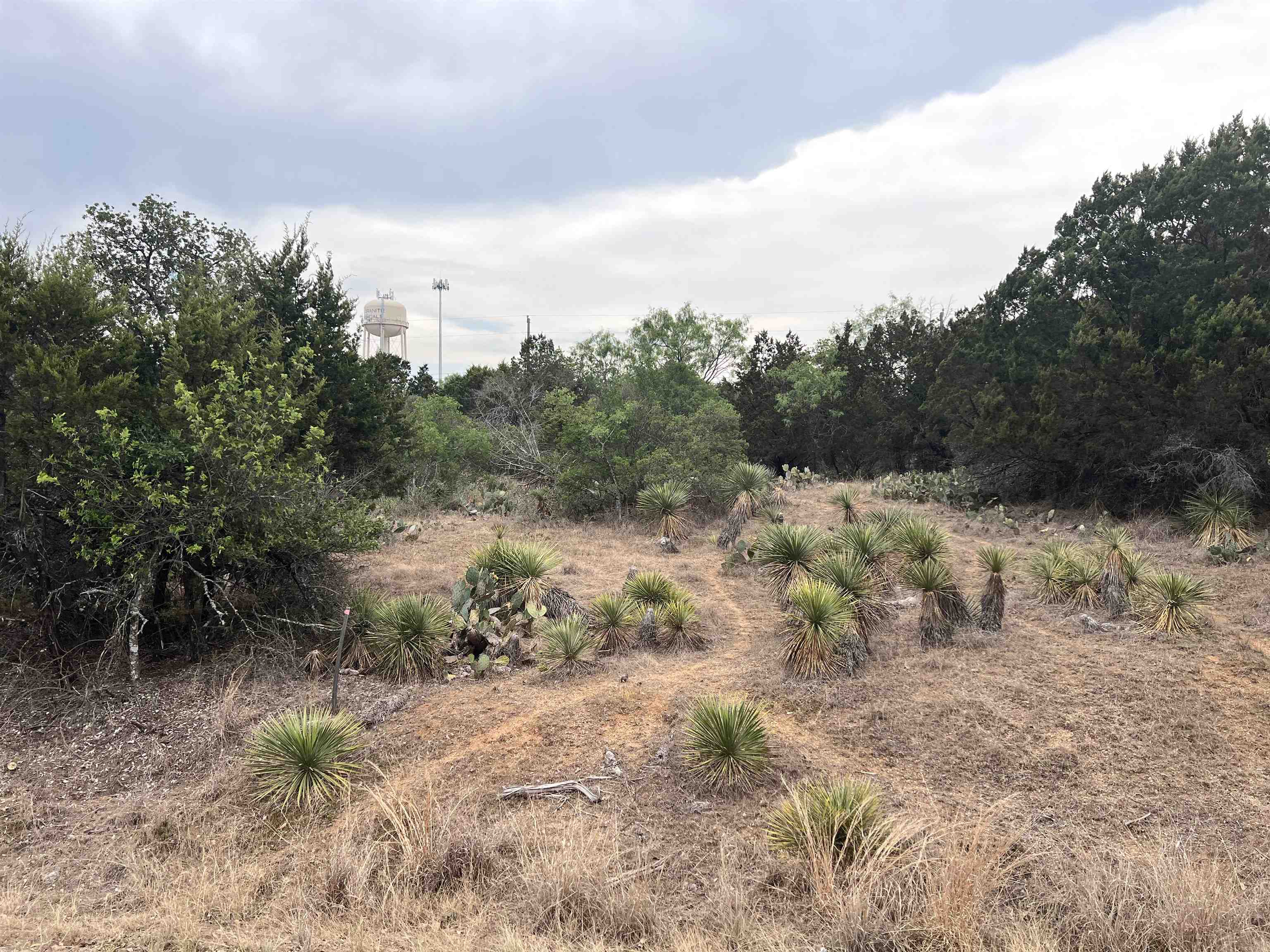 Lot 283 & 284 W Briarway Drive Property Photo 7