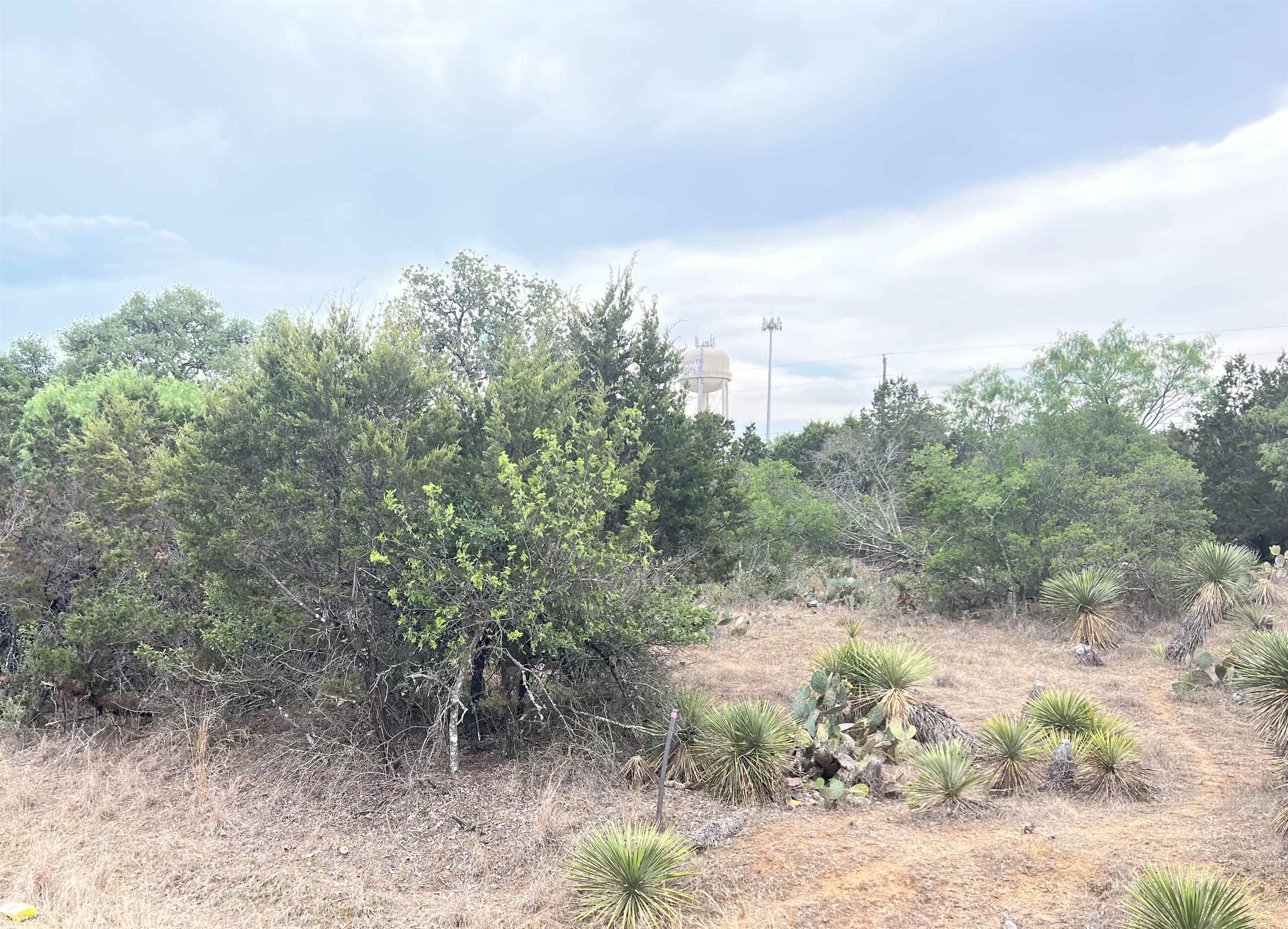 Lot 283 & 284 W Briarway Drive Property Photo 8
