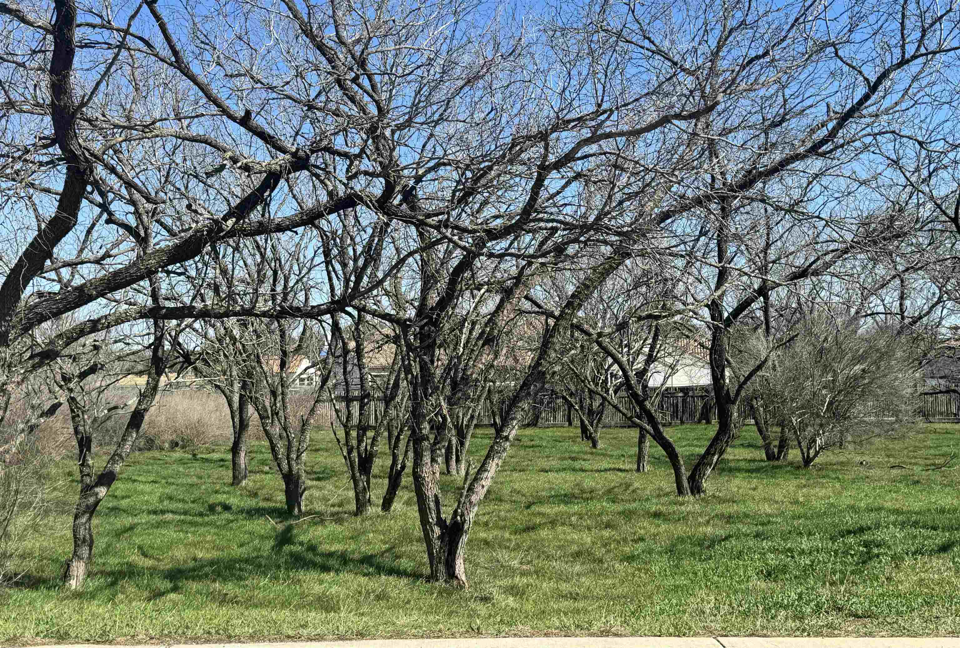 W22067-b Sunray Property Photo 4
