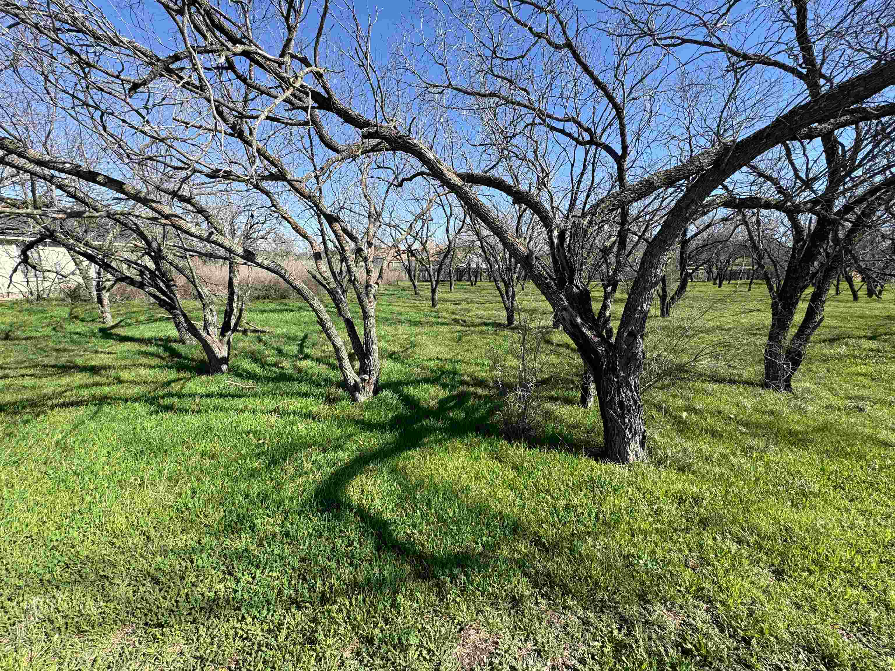 W22067-b Sunray Property Photo 9