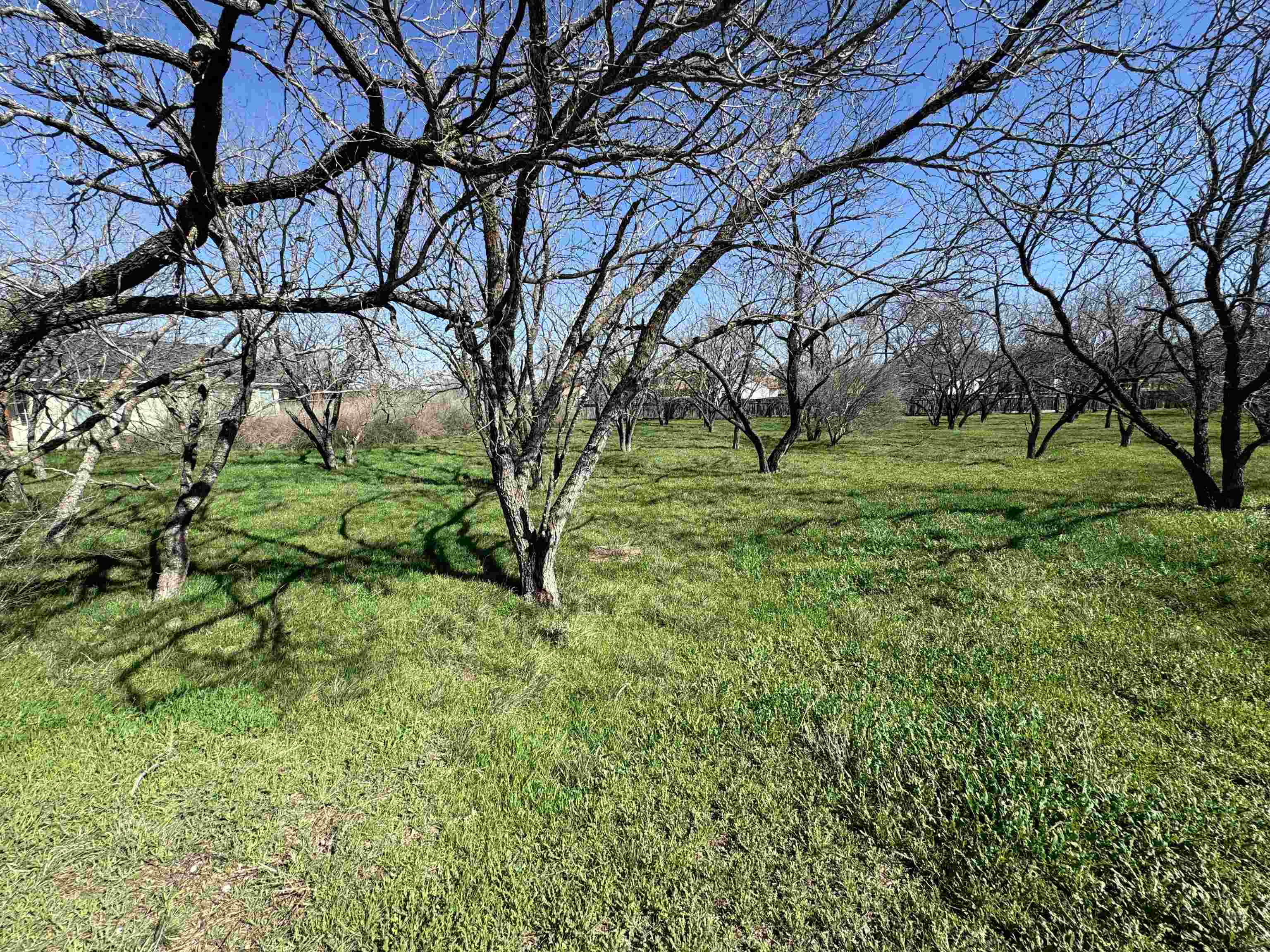 W22067-b Sunray Property Photo 10