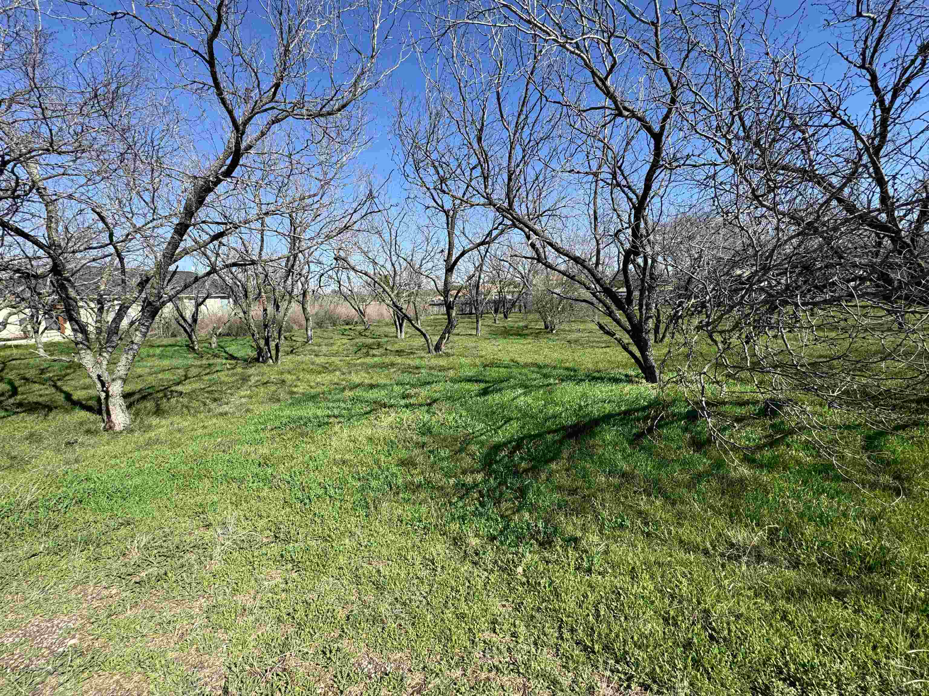 W22067-b Sunray Property Photo 11