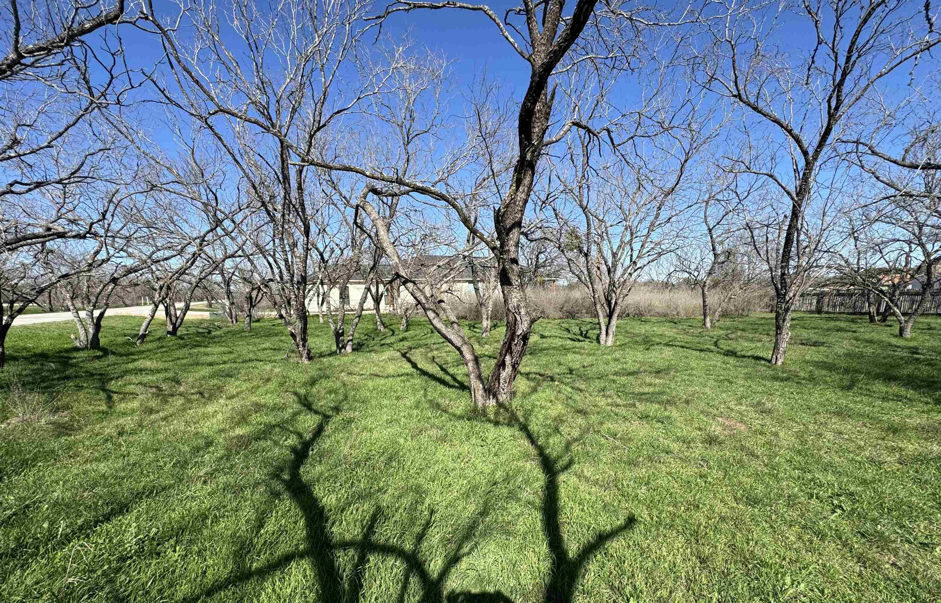 W22067-b Sunray Property Photo 13