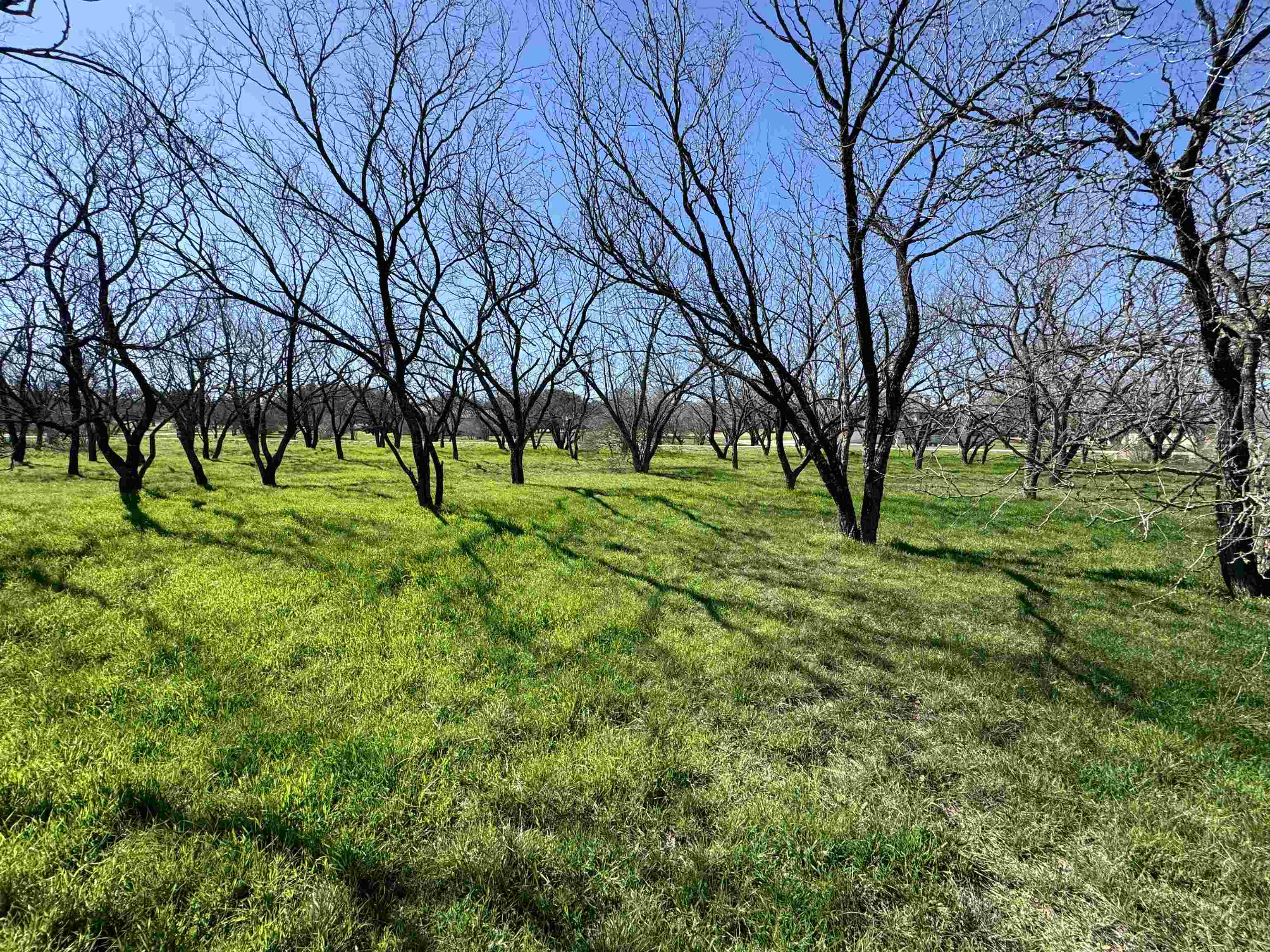 W22067-b Sunray Property Photo 17