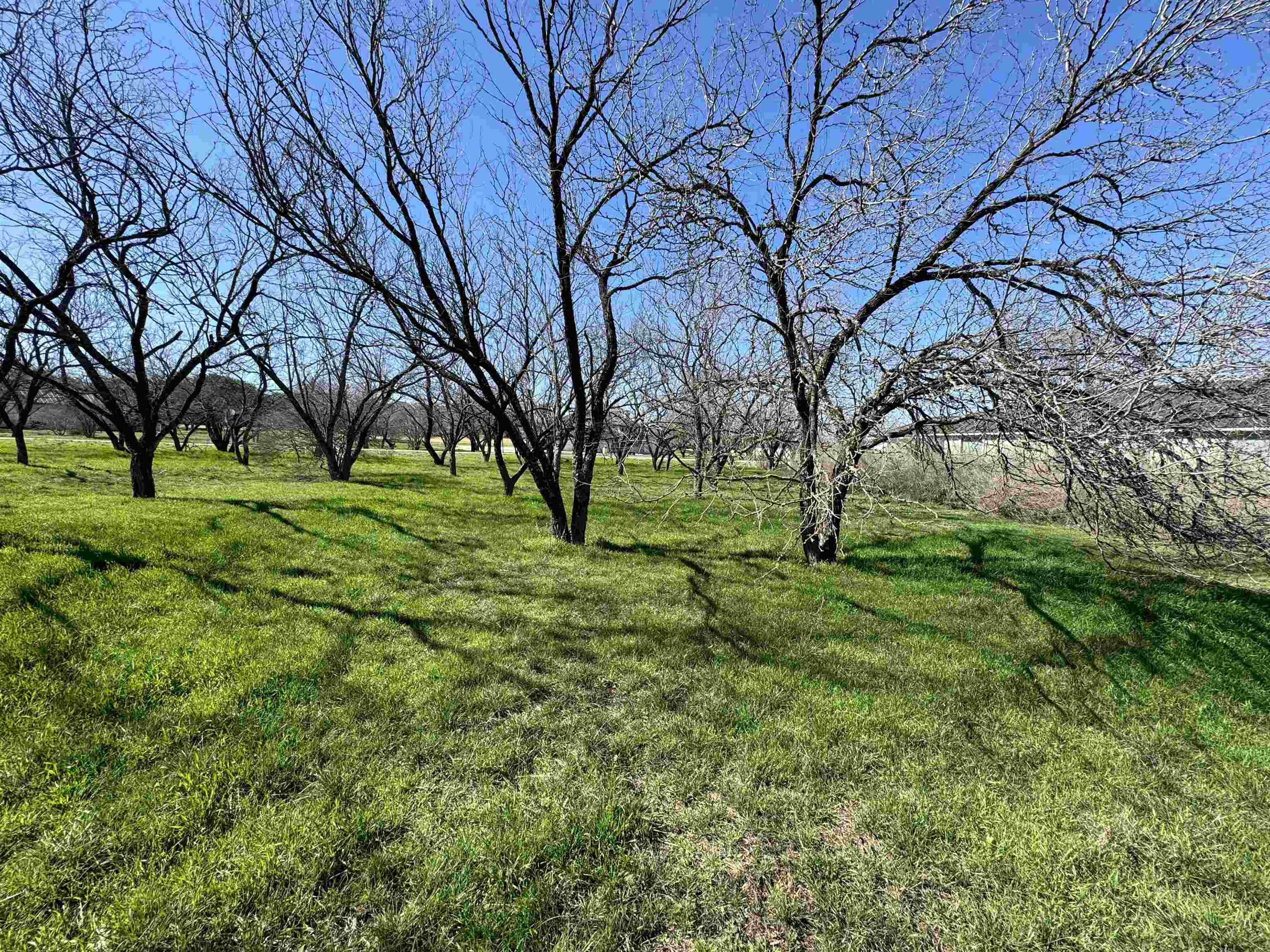 W22067-b Sunray Property Photo 18