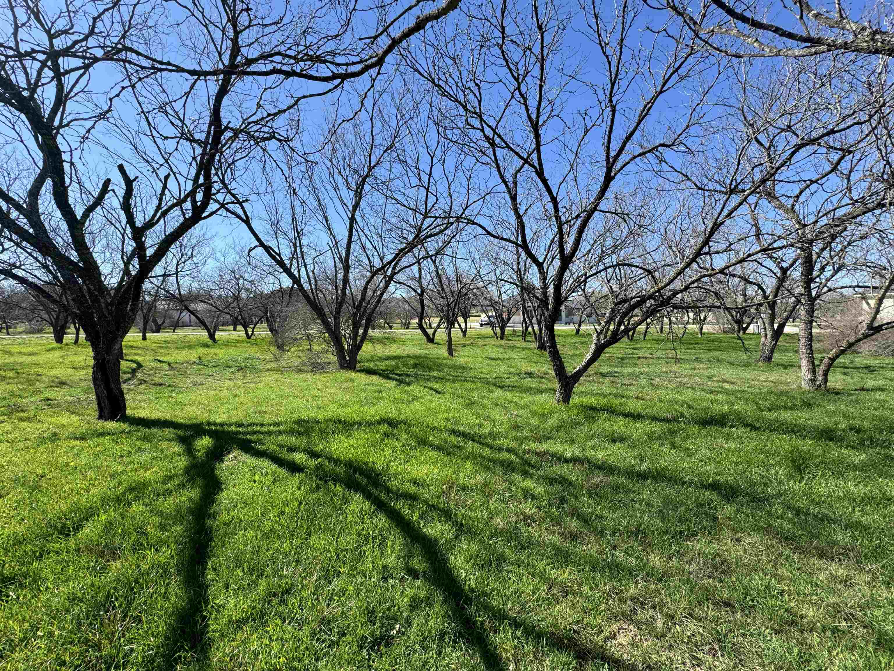 W22067-b Sunray Property Photo 19