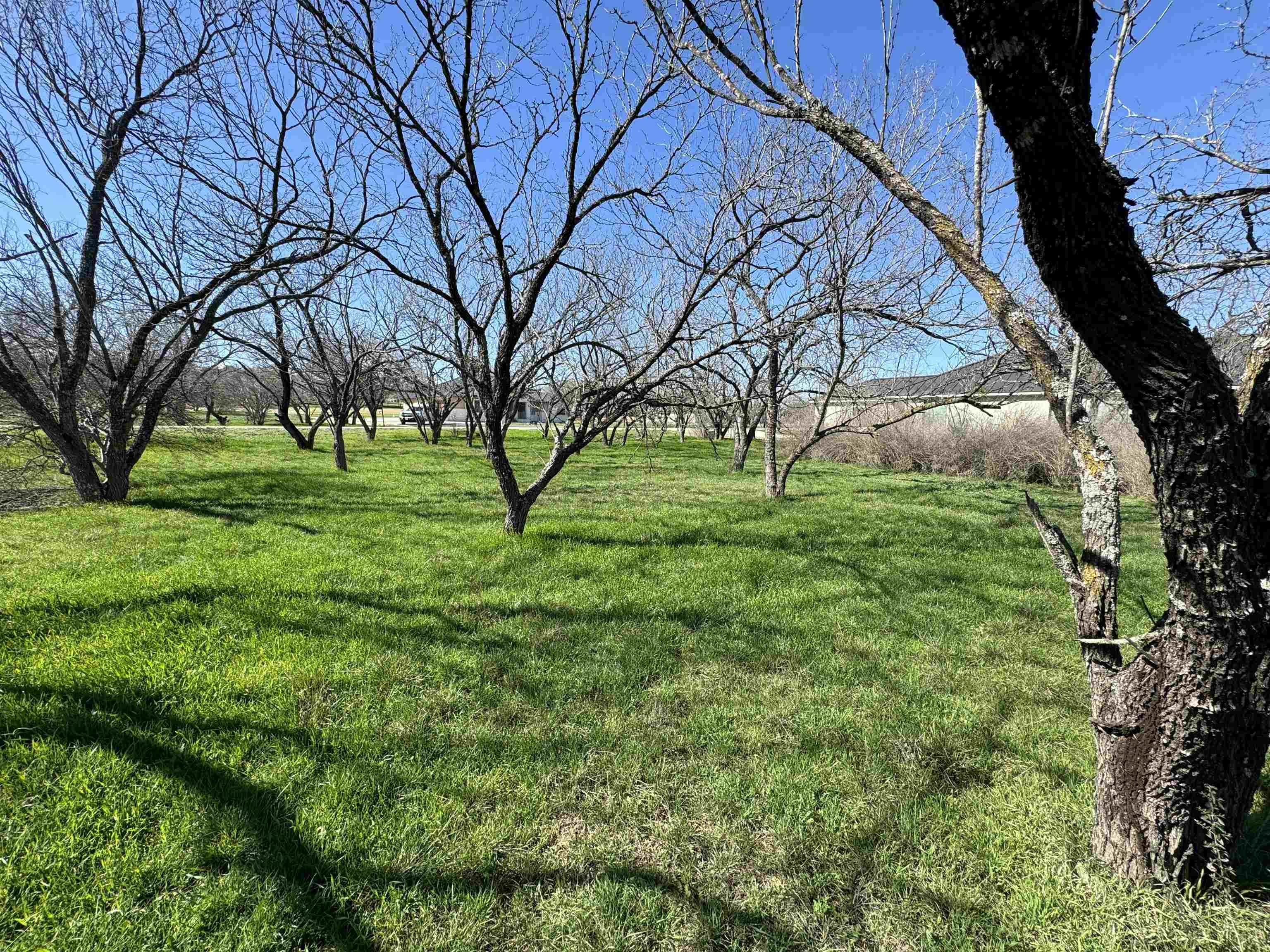 W22067-b Sunray Property Photo 21