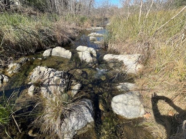 Lot 15 Mitchell Creek Dr. Property Photo 6