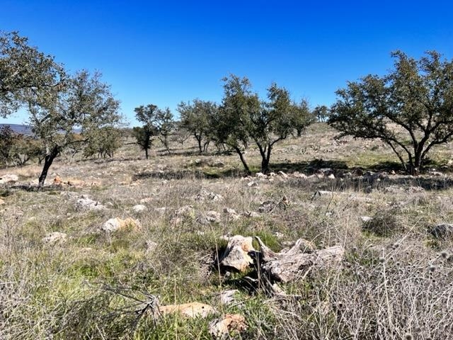 Lot 202 Tbd Westridge Way, Big Creek Ranch Property Photo 4