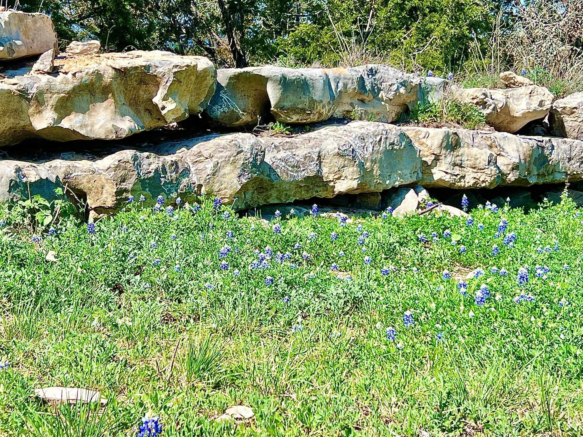 3500 Mormon Mill Road Property Photo 9