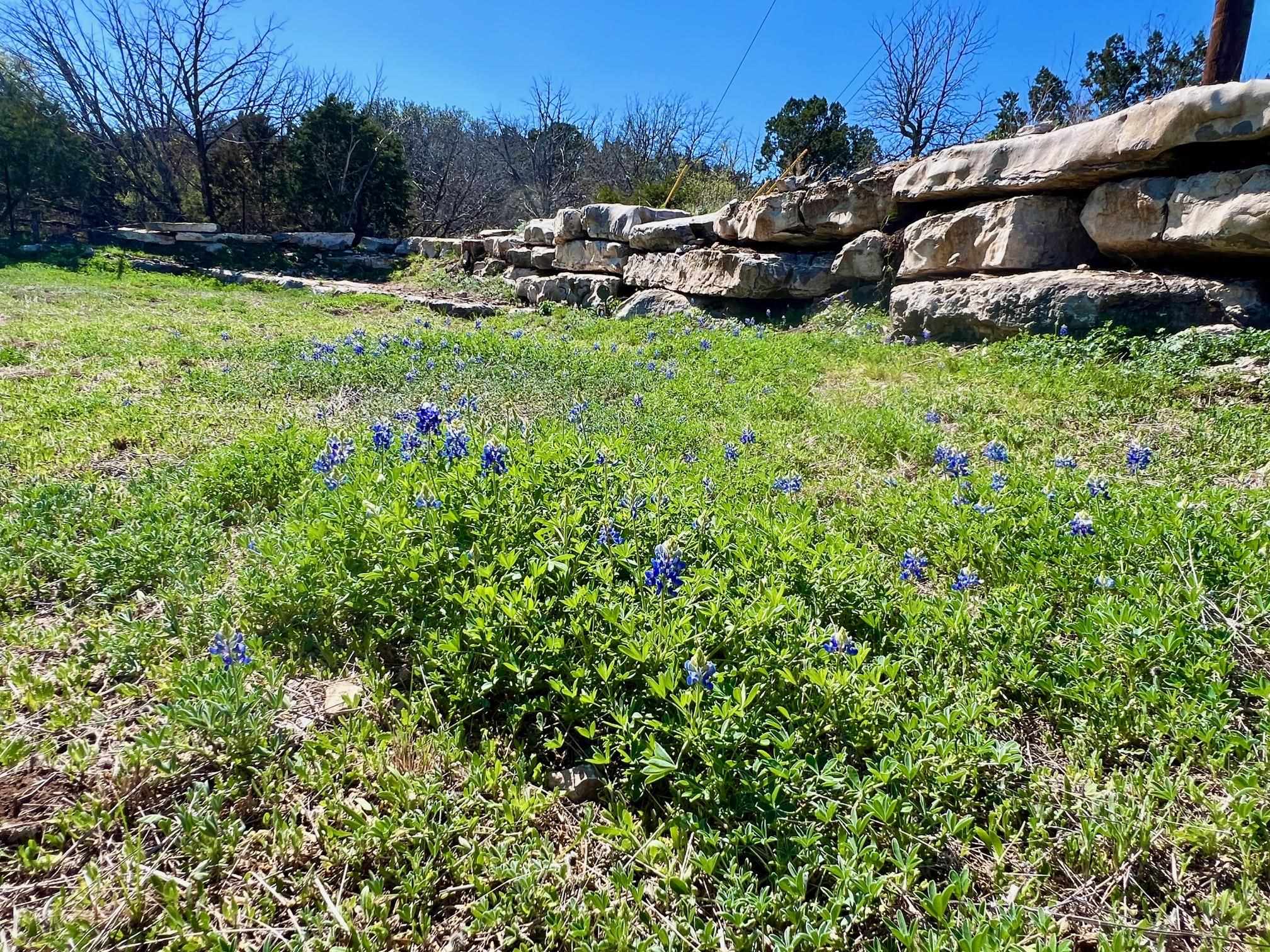 3500 Mormon Mill Road Property Photo 10