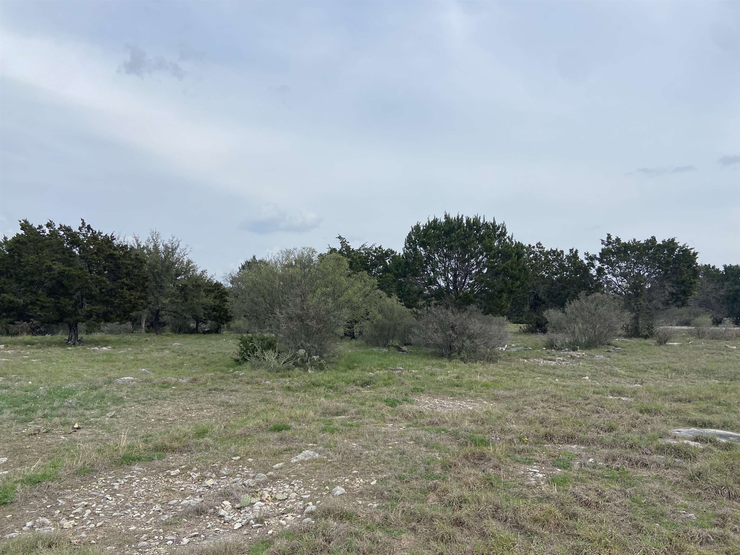 Lot 22244 Westward Ho/long Shot Property Photo 3