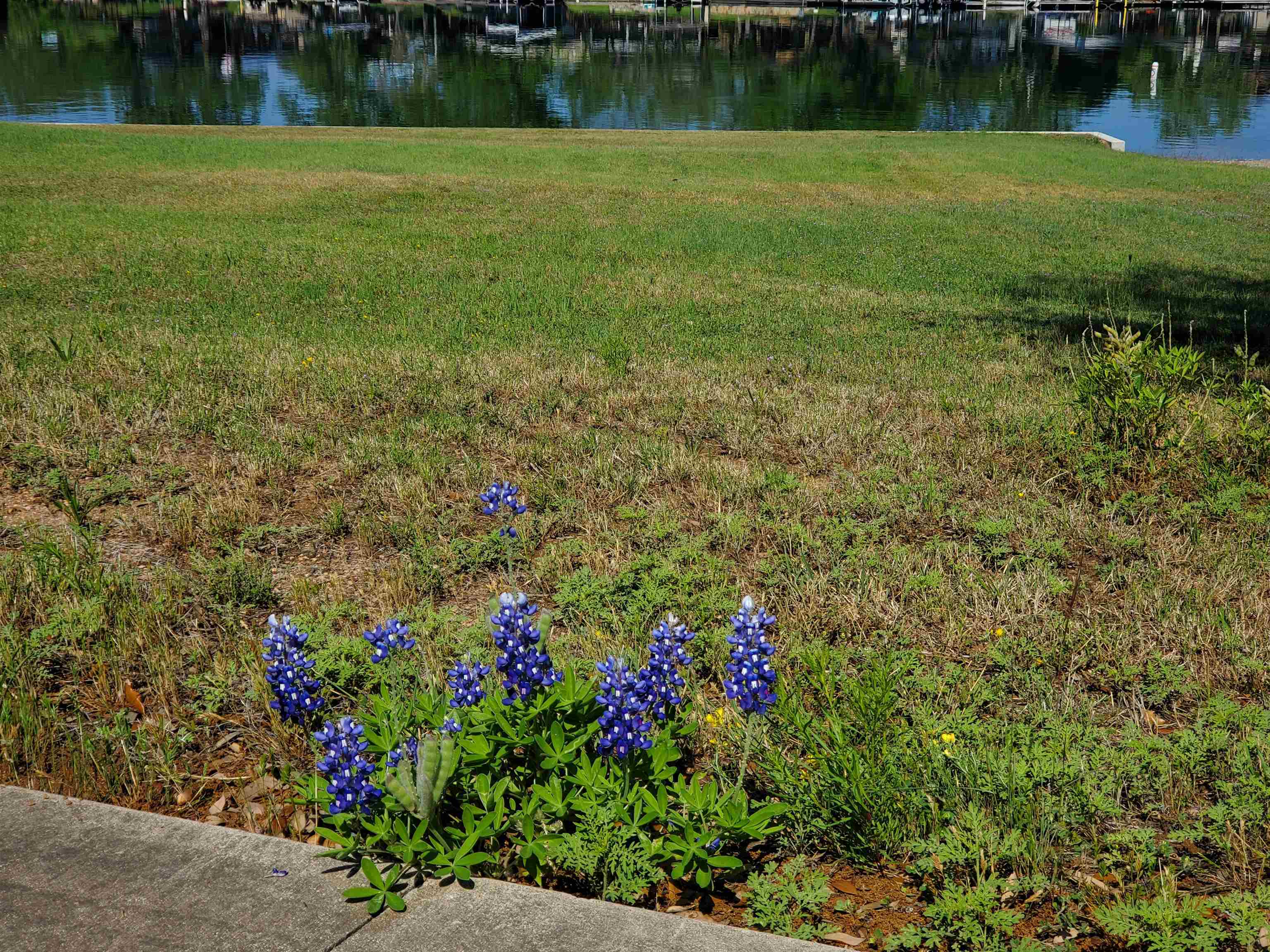Lot 102a River Park Property Photo 7