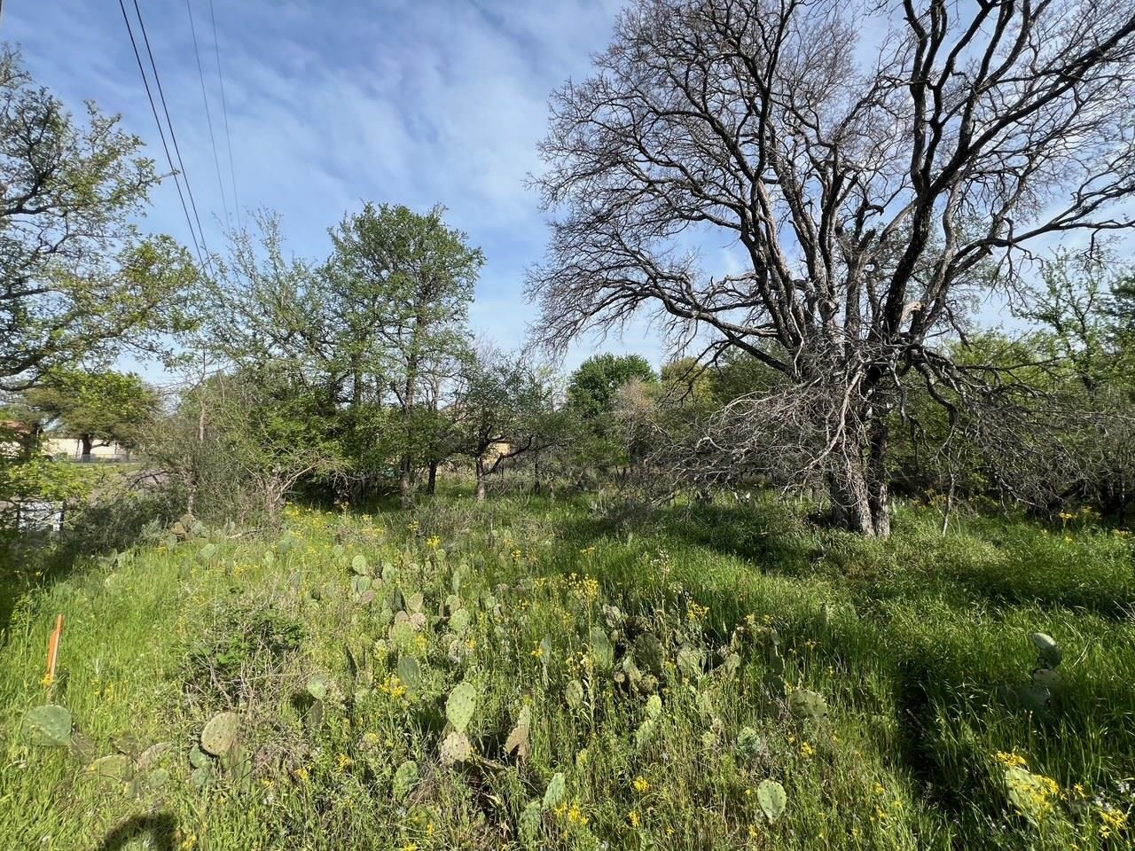 Lot 877a W Pine Drive Property Photo 7