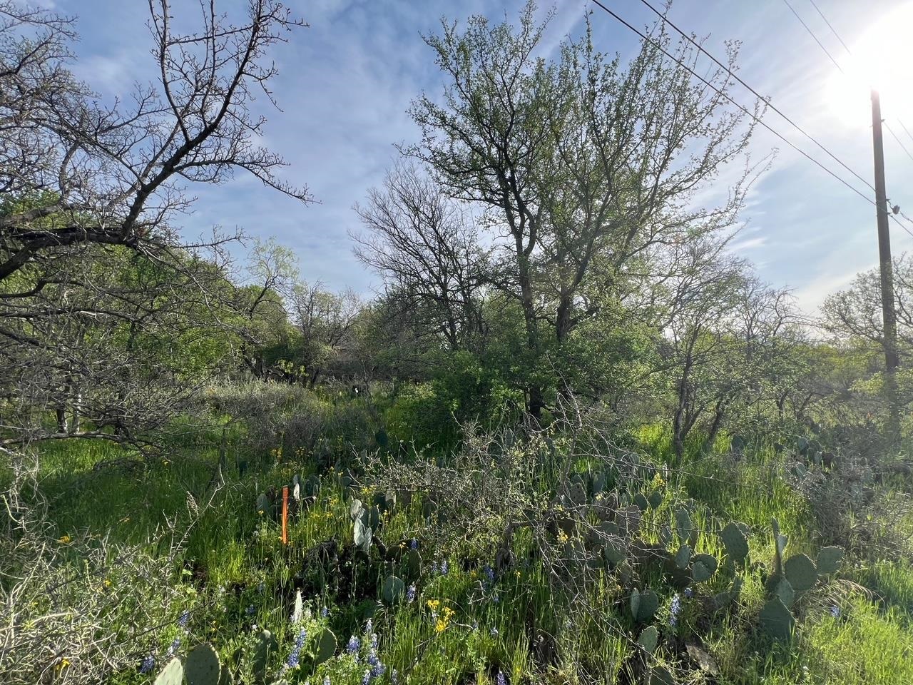 Lot 877a W Pine Drive Property Photo 8