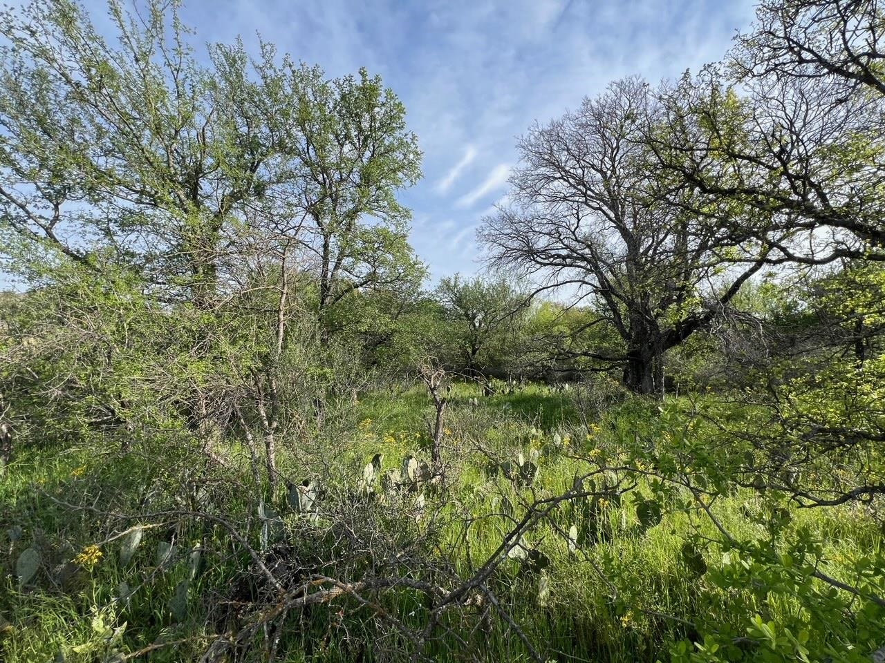 Lot 877a W Pine Drive Property Photo 9