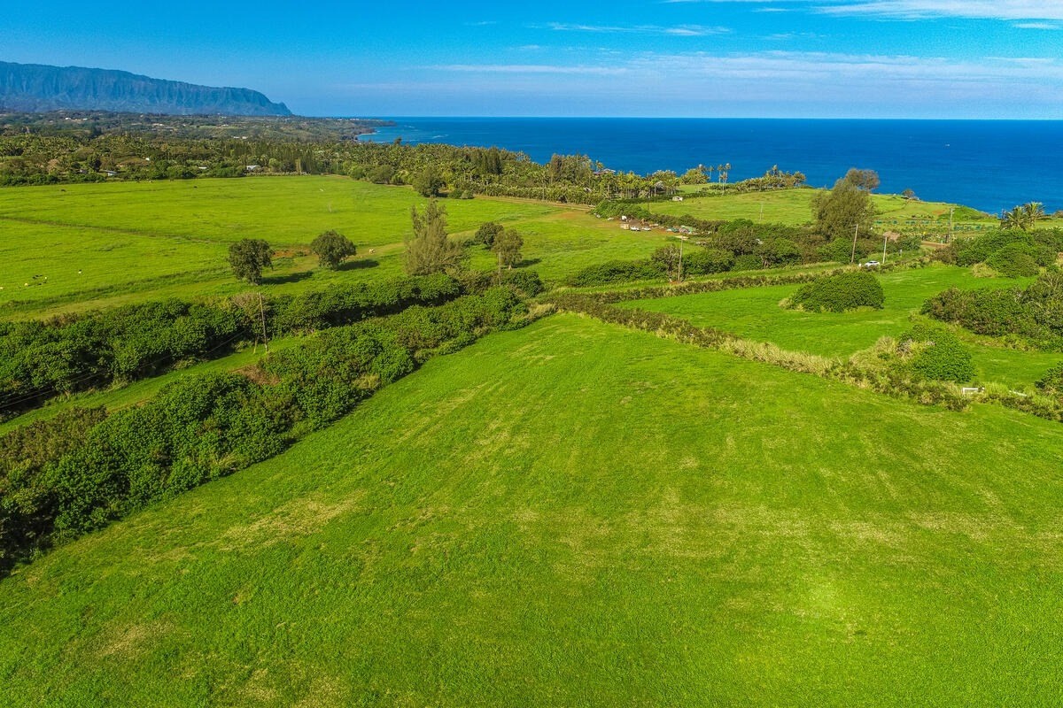 Kilauea Real Estate Listings Main Image