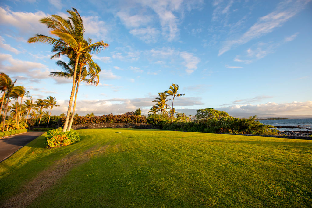 Naupaka Kai Pl Property Photo 1