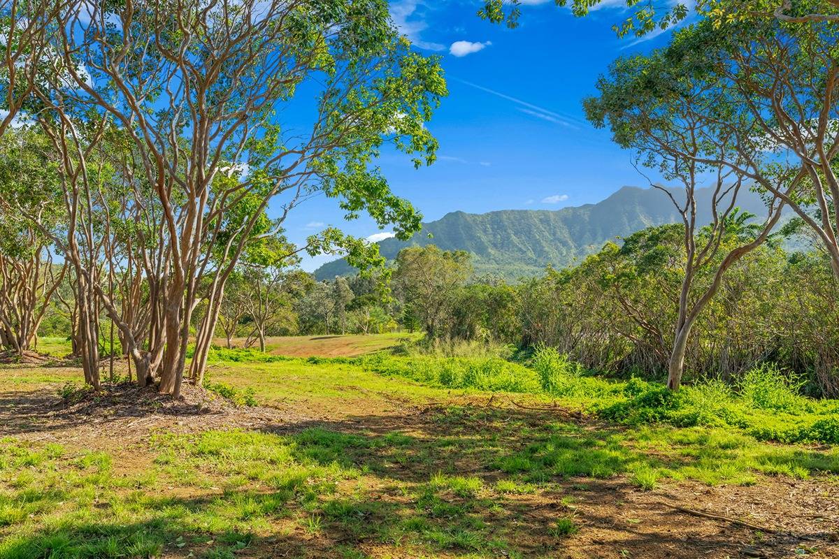 Halaulani Rd Property Photo