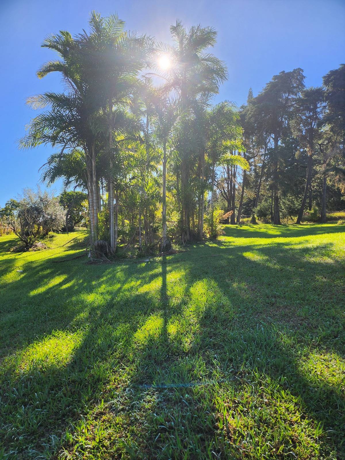 44-3333 Kalopa Mauka Rd Property Photo