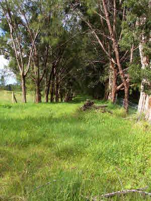 Kopua Rd Property Photo