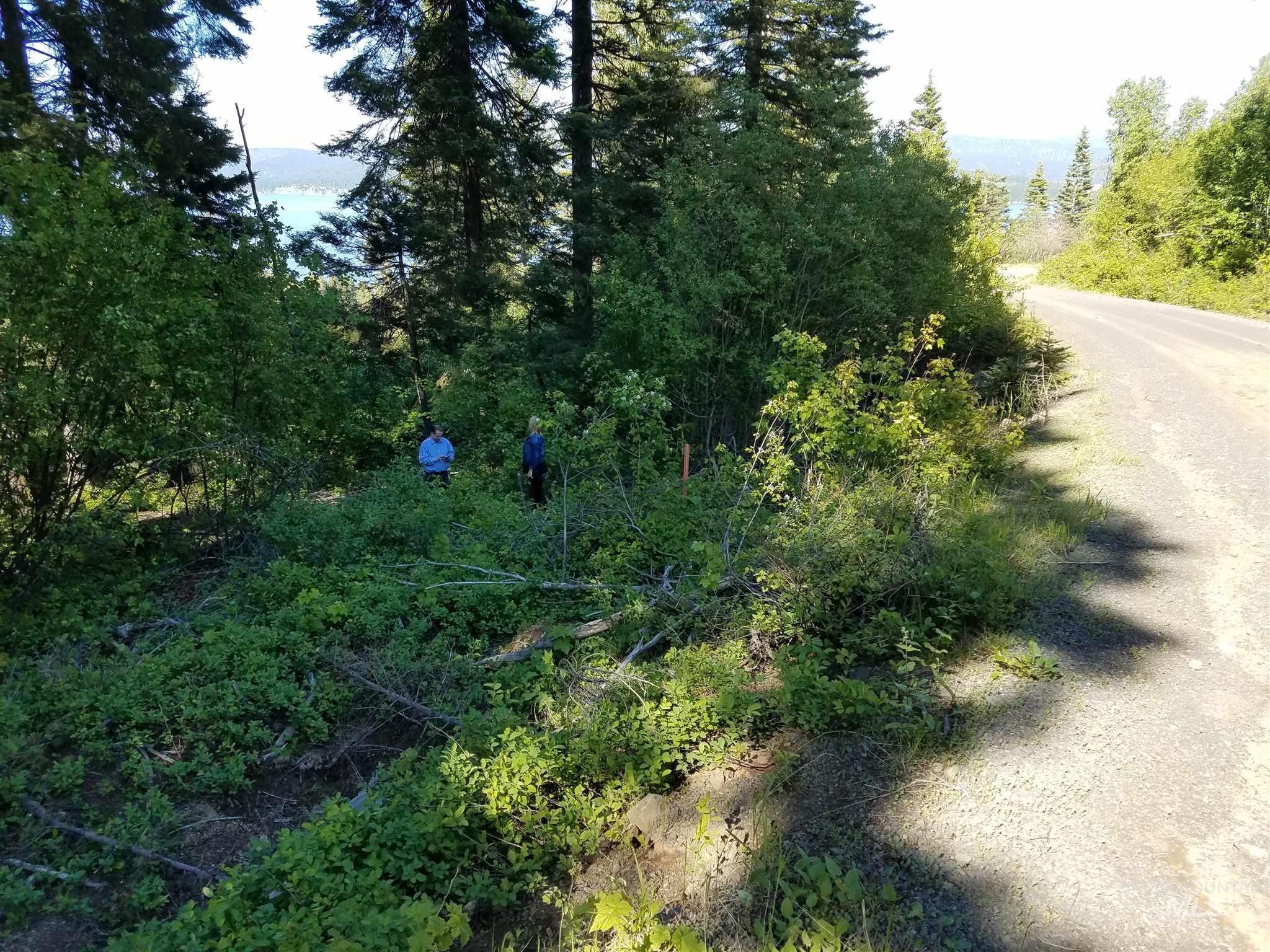 Anderson Creek Rd - Mid-mountain Property Photo 7