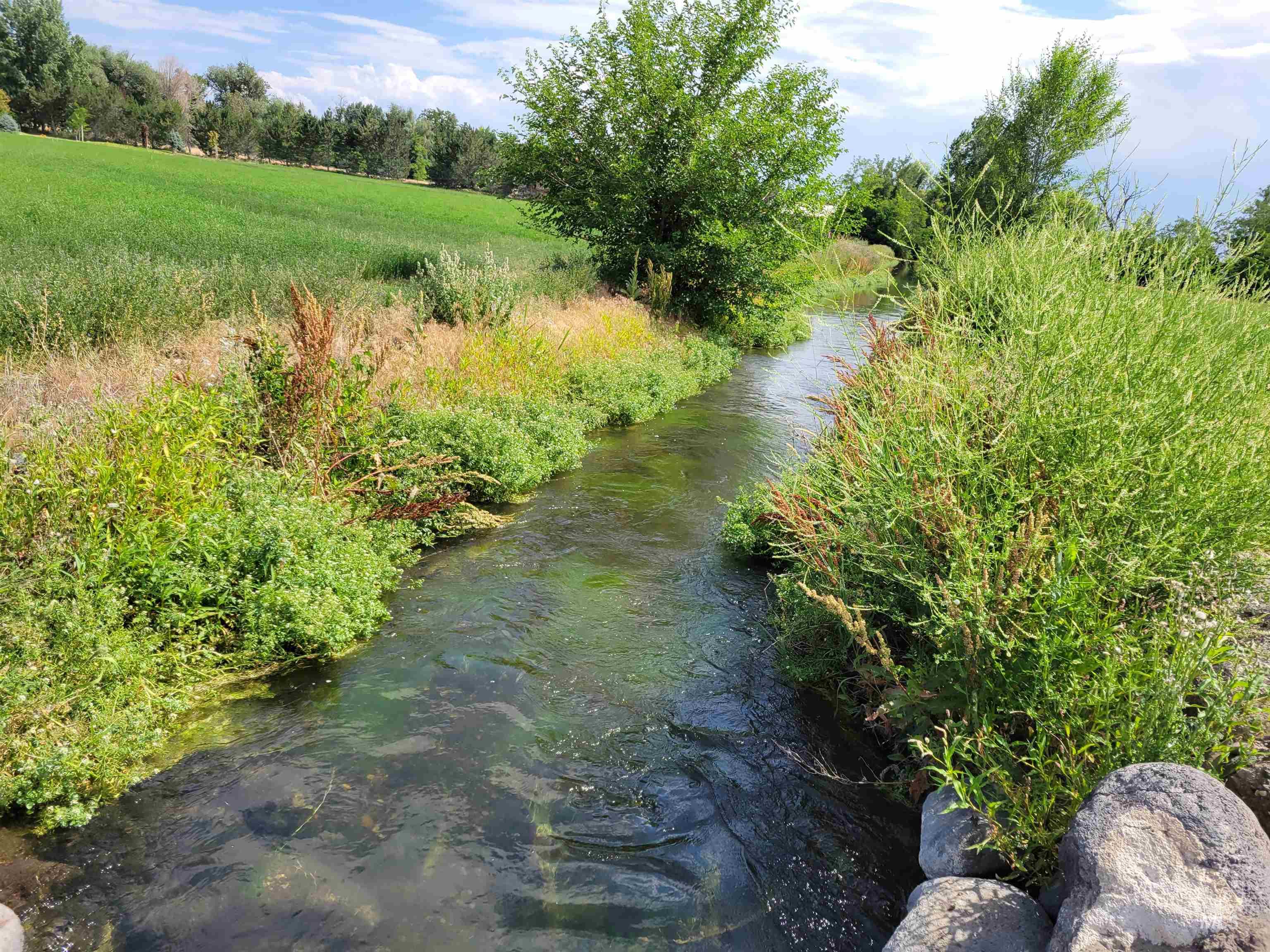 Lot 12 Billingsley Creek Estates Property Photo 1