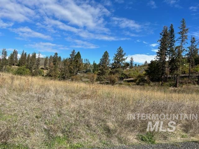 Tbd Lot 1 Elk Hill Road Property Photo