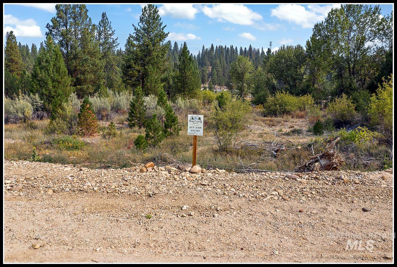 Lot 79 Lainey Lane Property Photo 1