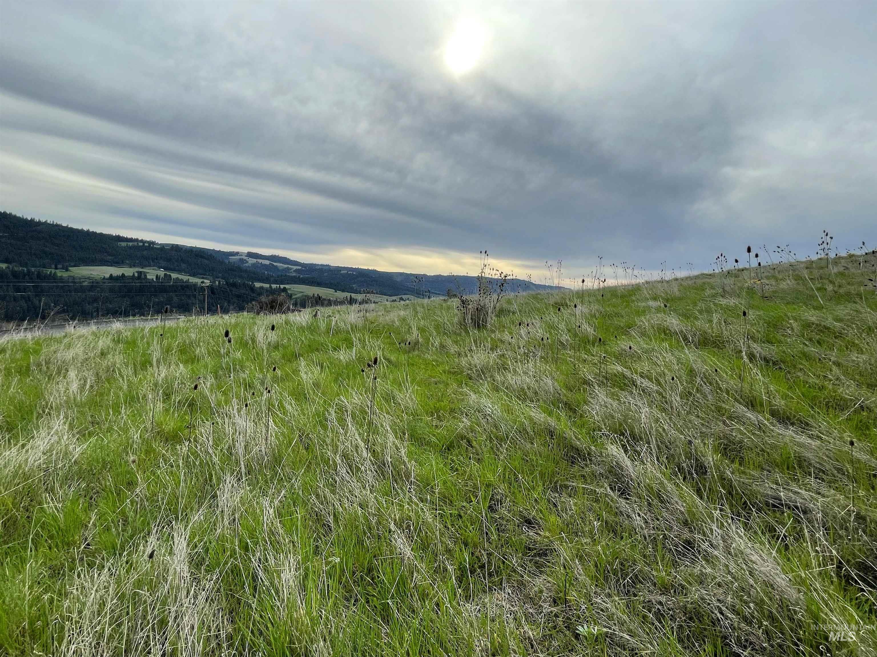 Tbd Starthistle Lane Property Photo 3