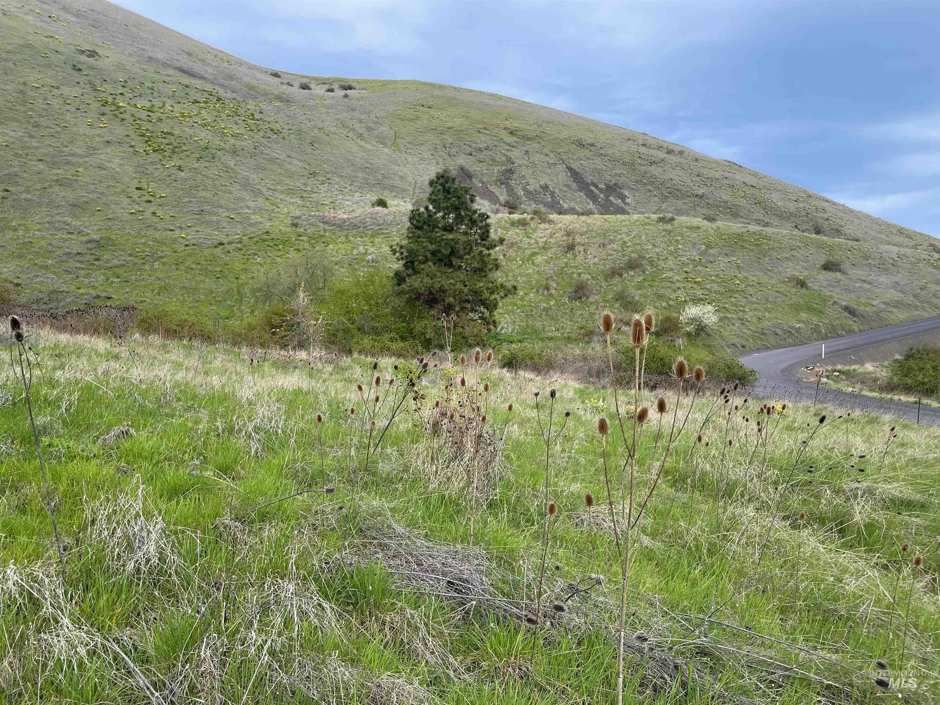 Tbd Starthistle Lane Property Photo 6