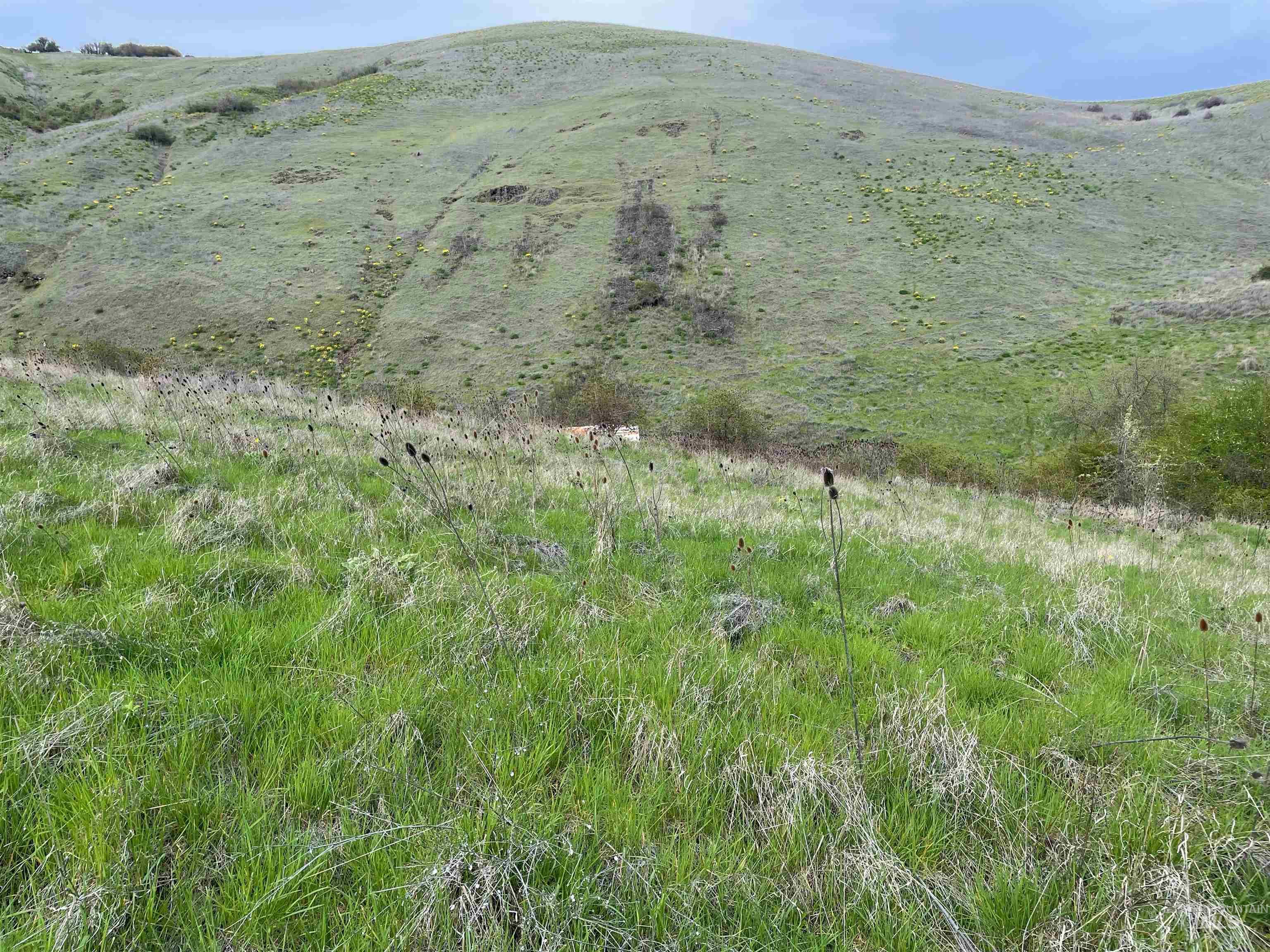 Tbd Starthistle Lane Property Photo 7