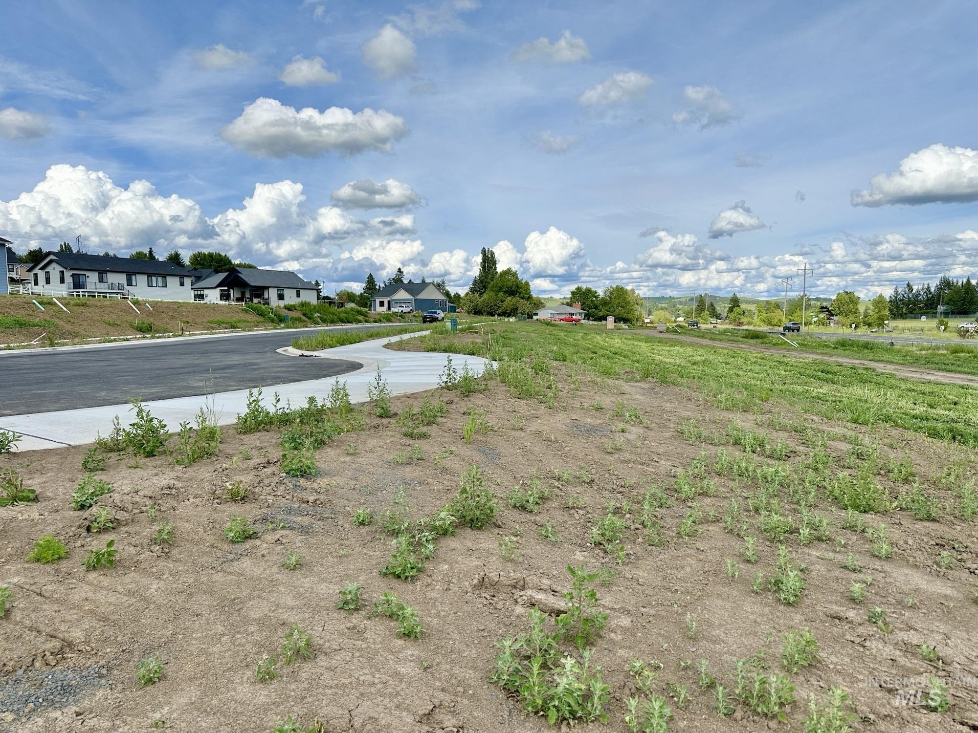 2812 Cyprus Court Property Photo 4