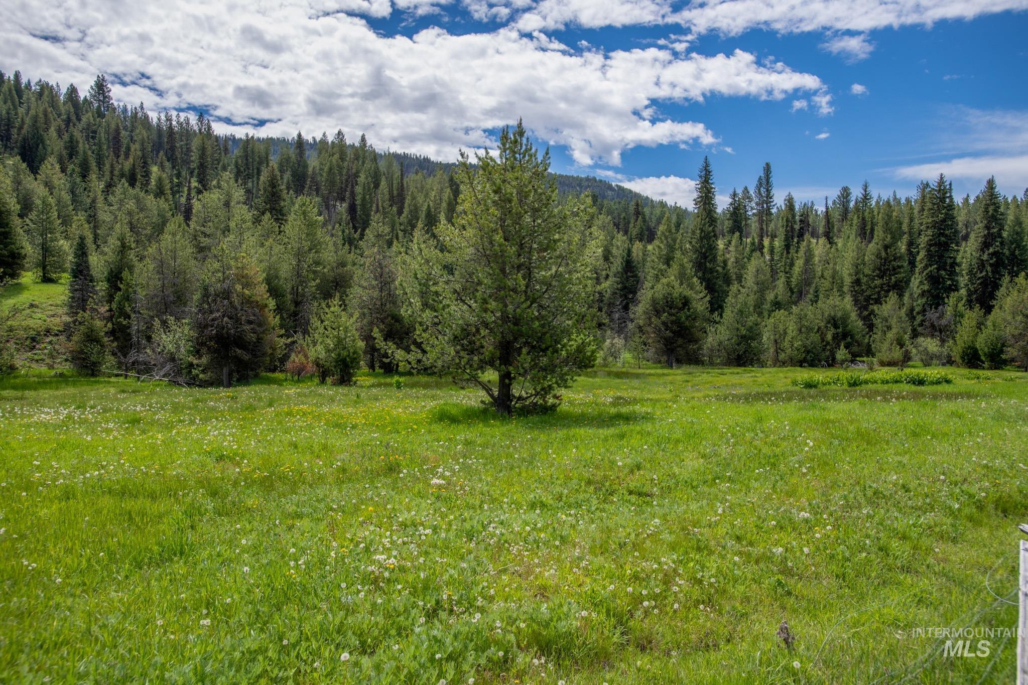 Tbd 39 Clear Creek Road Property Photo 3