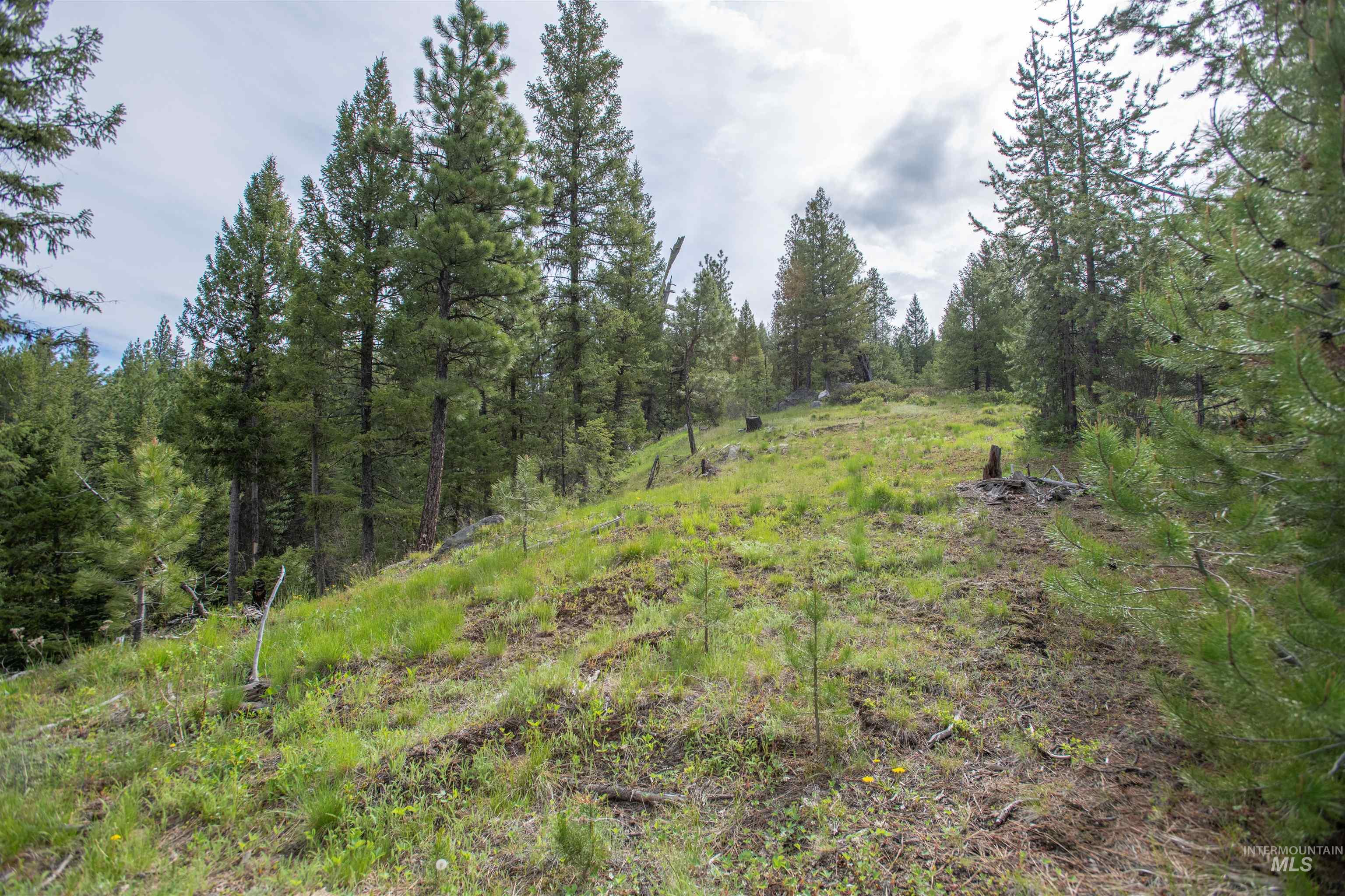 Tbd 34 Clear Creek Road Property Photo 5