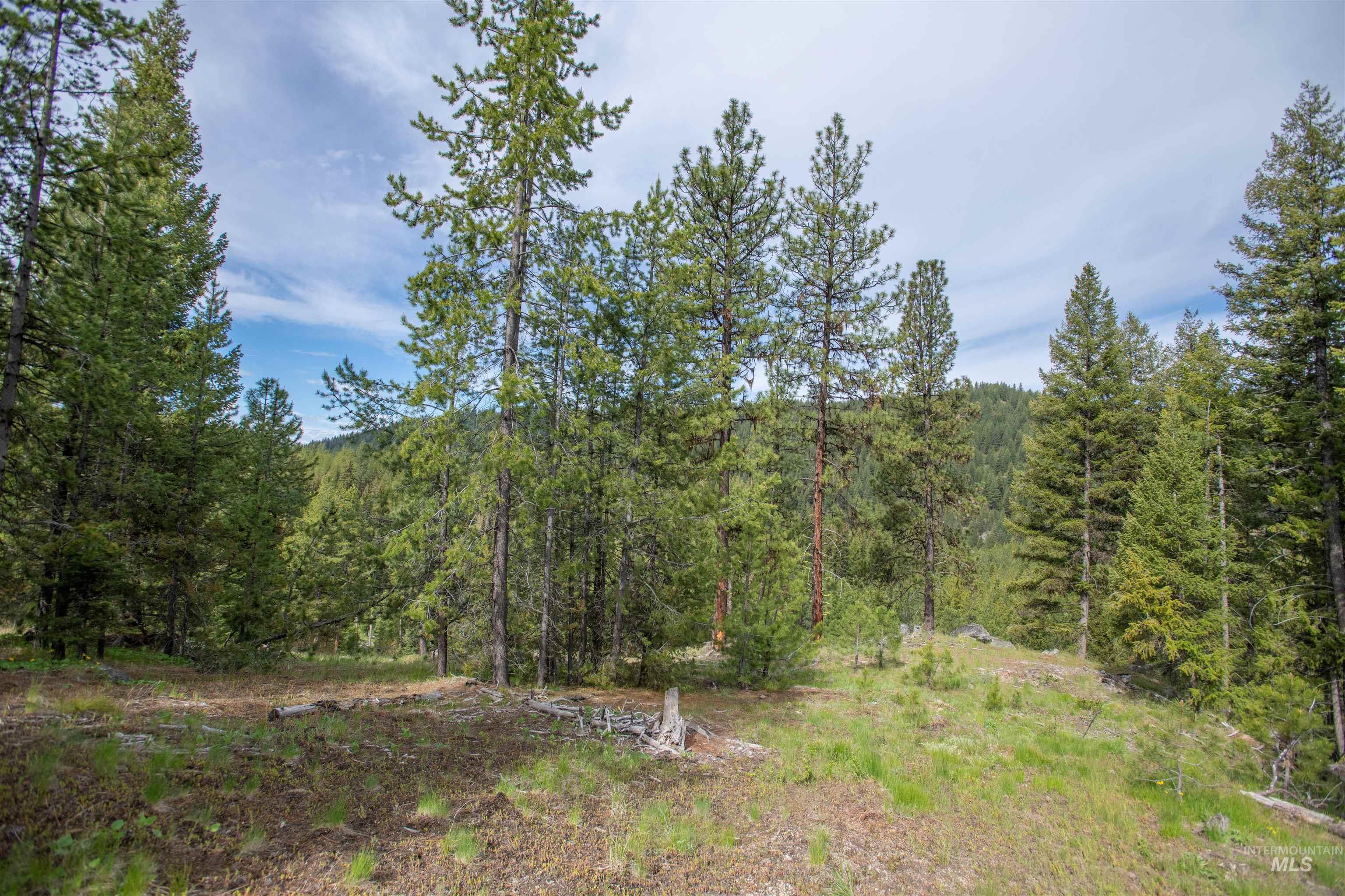 Tbd 34 Clear Creek Road Property Photo 8